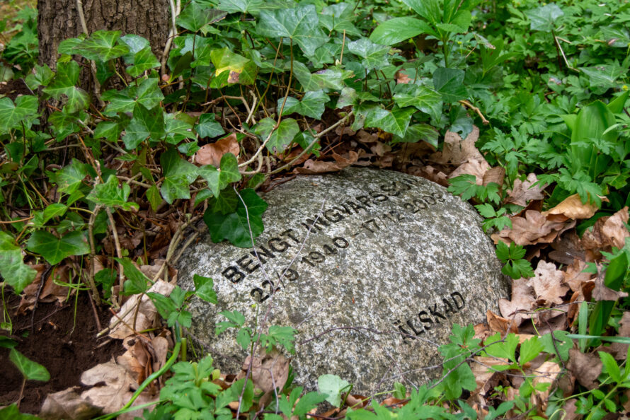 Murgröna (86/182)